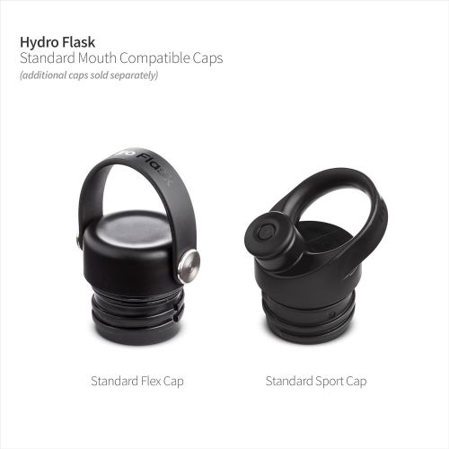  Hydro Flask Skyline Series Water Bottle, Flex Cap - 21 oz, Black