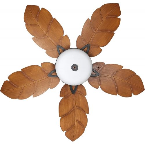  hykolity 52 Inch Indoor Tropical Ceiling Fan W/ Light Kit, Five ABS Palm Leaf Blades, ETL Listed Ceiling Fans for Living Room Kitchen Bedroom Basement, Reversible Motor, Pull Chain