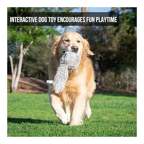  Hyper Pet Doggie Tail Interactive Plush Dog Toys (Wiggles, Vibrates, and Barks, Stimulating Play)