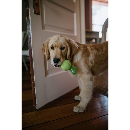  Hyper Pet Dura-Squeaks Durable Dog Toys