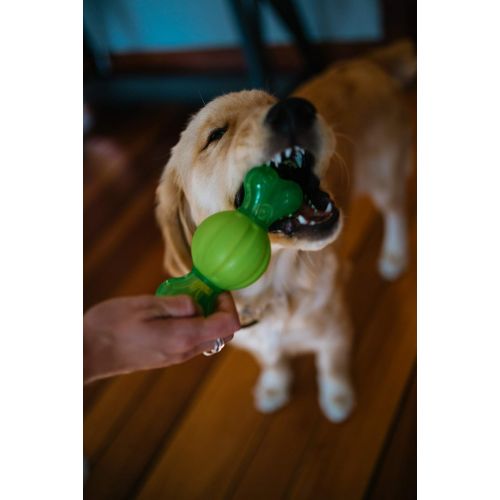  Hyper Pet Dura-Squeaks Durable Dog Toys