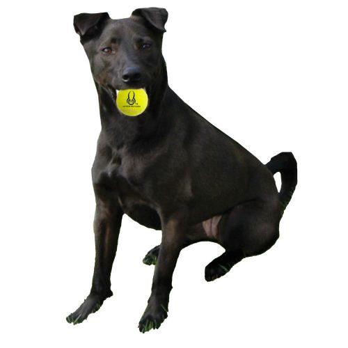  Hyper Pet Tennis Balls For Dogs [Pet Safe Dog Toys For Exercise & Training] (Brightly Colored Dog Tennis Balls, Easy To Locate)