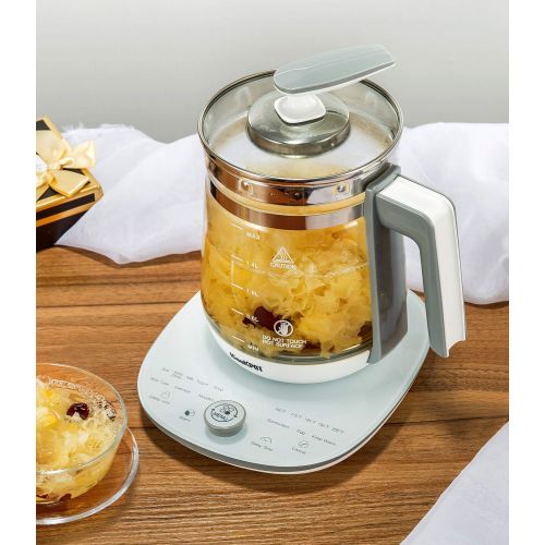  ICOOKPOT Multi-Use Electric Kettle Borosilicate Glass Tea Maker and Programmable Control Panel Base, Includes Filter, Egg Cooker and Yogurt Box, Keep Warm Function Water Pot Kettle