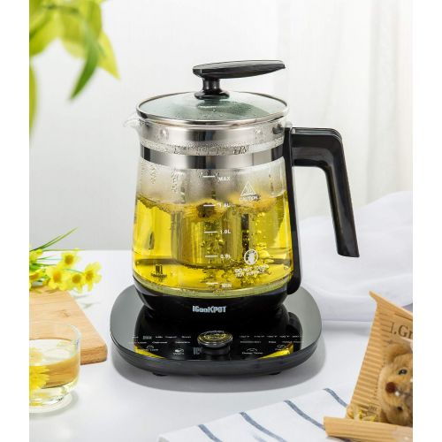  ICOOKPOT Multi-Use Electric Kettle Borosilicate Glass Tea Maker and Programmable Control Panel Base, Includes Filter, Egg Cooker and Yogurt Box, Keep Warm Function Water Pot Kettle