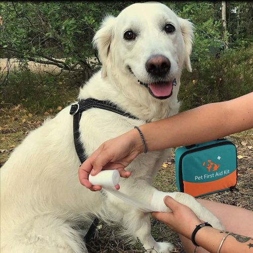 ICare-Pet iCare-Pet Pet First Aid Kit with Thermometer & Veterinary Otoscope for Home Care and Outdoor Travel to Care Our Dogs/Cats