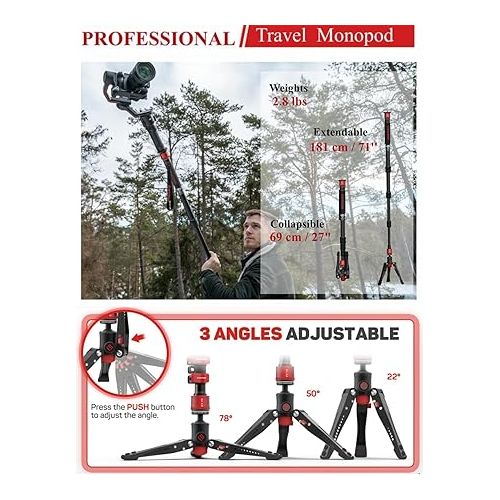  IFOOTAGE Cobra 3 A180T Monopod, 71