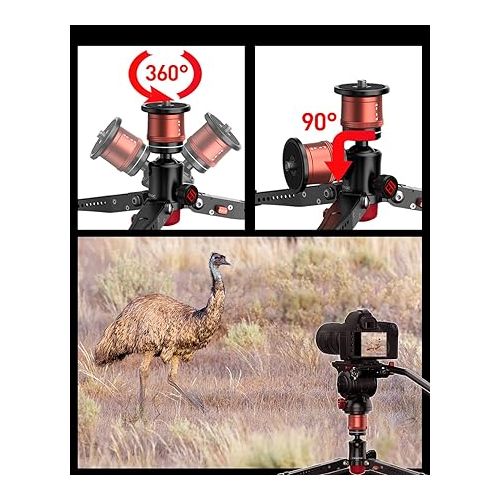  IFOOTAGE Cobra 3 Base,Low Profile Minipod,Desktop Tripod,Vertical Payload 6kg,Height 5.7”~10.24”(14.5~26cm),Top Plate for Monitor,Phone Holder Clip,Mini Ball Head,k5 Fuid HeadLED Flash