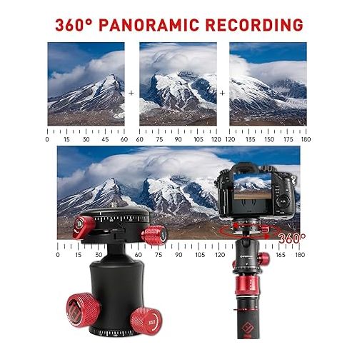  IFOOTAGE MP30 360° Panoramic Ball Head,Professional Head Aluminum Alloy, Stainless Steel,Compatible with 38/50mm Arca Swissfor Tripod, Monopod, DSLR, Camera,Load 22lb/10kg