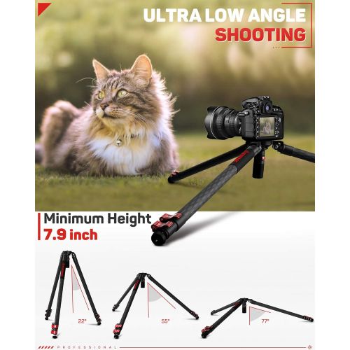  IFOOTAGE Carbon Fiber Tripod Max Load 88 lbs Professional Video Camera Tripod Leg for DSLR Camcorder Video Photography, 59 Max Height