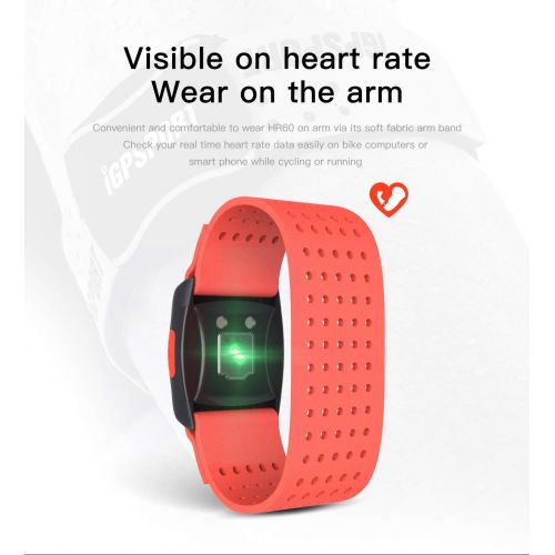  IGPSPORT HR60 Heart Rate Monitor Armband Ant+ Bluetooth Waterproof IPX7 HRM Sensor Compatible with Garmin/Strava/iPhone/Apple Watch
