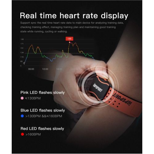  IGPSPORT HR60 Heart Rate Monitor Armband Ant+ Bluetooth Waterproof IPX7 HRM Sensor Compatible with Garmin/Strava/iPhone/Apple Watch