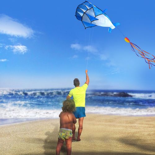  [아마존베스트]IMAGE 3D Kite Large Blue Dolphin Breeze Beach Kites with Huge Frameless Soft Parafoil Giant,Gift for Kids,Family