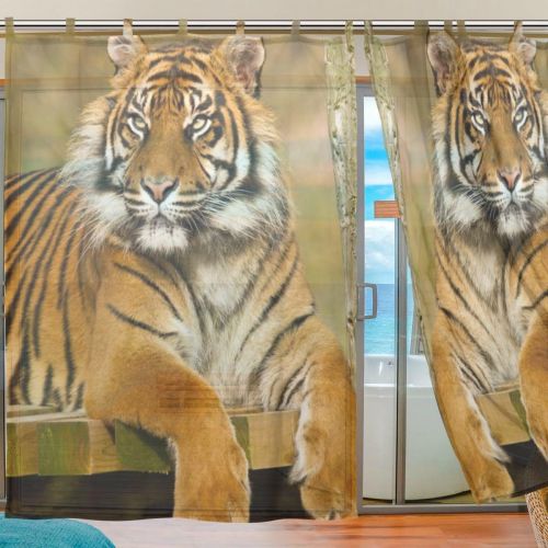 INGBAGS Bedroom Decor Living Room Decorations Tiger Pattern Print Tulle Polyester Door Window Gauze  Sheer Curtain Drape Two Panels Set 55x78 inch ,Set of 2