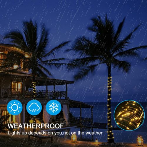  INHDBOX 66ft 200LED Dimmable Rope Lights,UL Plug-in String Night Light, 8 Modes&Timer Control,IP67 Outdoor Decorative Fairy Lighting Mood House/Wedding/Party/Garden (Warm Light)