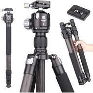 Carbon Fiber Tripod-INNOREL RT75C Super Professional Tripod Monopod Heavy Duty Stand Support Low Gravity Center 360°Panoramic ballhead for Digital DSLR Camera