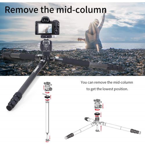  Carbon Fiber Tripod-INNOREL RT75C Super Professional Tripod Monopod Heavy Duty Stand Support Low Gravity Center 360°Panoramic ballhead for Digital DSLR Camera