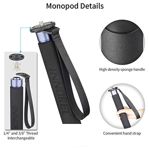  Carbon Fiber Video Monopod-INNOREL VM75CK Professional Hydraulic Fluid Head Monopod Removable Multifunctional Travel Tripod Stand for Gopro DSLR Camera Telescopic Camcorders, Max L