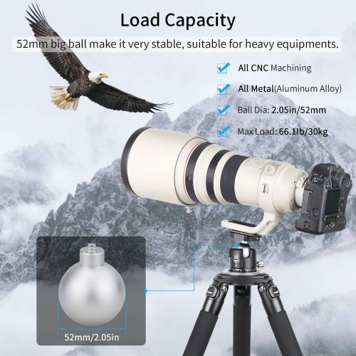  [아마존베스트]Low Profile Ball Head All Metal Tripod Ball Head INNOREL Panoramic CNC Ball Heads Camera Mount with Two 1/4 Quick Release Plates for Tripod, DSLR, Camcorder, Telescope，Max Load 66l