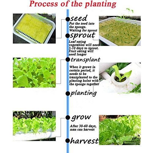  INTBUYING Hydroponic Site Grow Kit 54 Ebb and Flow Deep Water Culture Garden System