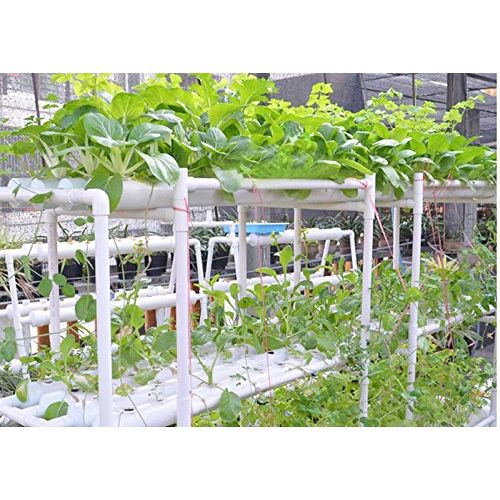  INTBUYING Hydroponic Site Grow Kit 54 Ebb and Flow Deep Water Culture Garden System