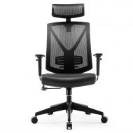 INTEY Ergonomic Office Chair High Back Mesh Chair, Adjustable Headrest and Lumbar Support, Computer Desk Task Chair, Passed BIFMA/SGS Certification, Comfortable and Reliable Home O