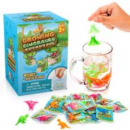 IPIDIPI TOYS Water Growing Dinosaurs - 25 Pack - Individually Wrapped Favors - Expandable Animals - Party Supplies, Goodie Bags Fillers- Great Gift for Boys and Girls - Fit as Easter Egg Filler