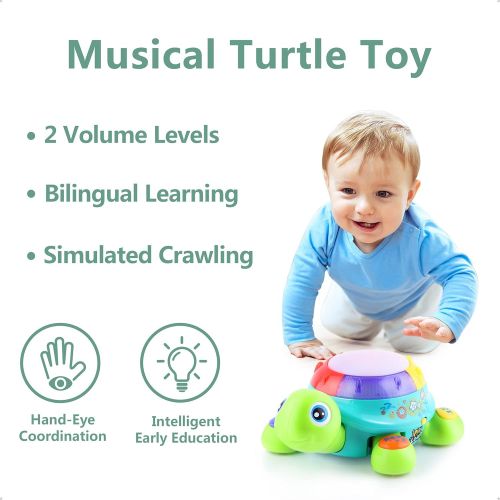  IPlay, iLearn Musical Turtle Toy, English & Spanish Learning, Electronic Toys W/ Lights and Sounds, Early Educational Development Gift 6 7 8 9 10 11 12 Months, 1, 2 Year Olds Baby Infants Toddle