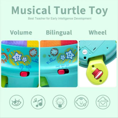  IPlay, iLearn Musical Turtle Toy, English & Spanish Learning, Electronic Toys W/ Lights and Sounds, Early Educational Development Gift 6 7 8 9 10 11 12 Months, 1, 2 Year Olds Baby Infants Toddle