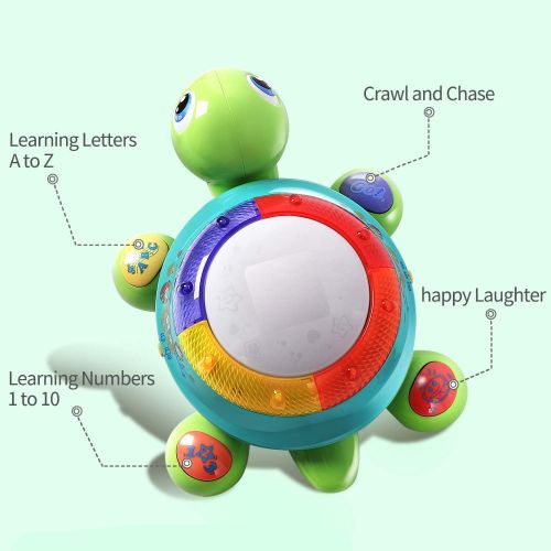  IPlay, iLearn Musical Turtle Toy, English & Spanish Learning, Electronic Toys W/ Lights and Sounds, Early Educational Development Gift 6 7 8 9 10 11 12 Months, 1, 2 Year Olds Baby Infants Toddle