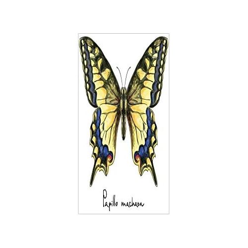  IPrint 3D Decorative Film Privacy Window Film No Glue,Swallowtail Butterfly,Common Yellow Papilio Machaon in Watercolors Fragile Beauty,Yellow Blue Black,for Home&Office