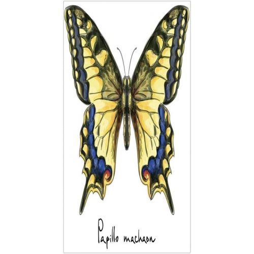  IPrint 3D Decorative Film Privacy Window Film No Glue,Swallowtail Butterfly,Common Yellow Papilio Machaon in Watercolors Fragile Beauty,Yellow Blue Black,for Home&Office
