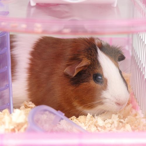  IRIS USA, Inc. IRIS Hamster Cage