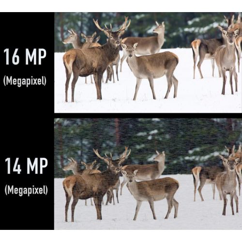  IStand iStand Wild Trail Camera Game Hunting Camera 16mp 1080p Waterproof IP66 120°Detecting Range Motion Activated Night Vision Infrared for Home Security Wildlife Farm Monitoring Time L