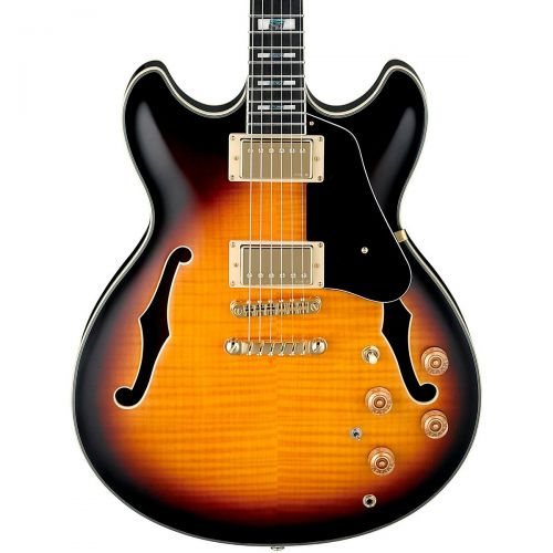  Ibanez},description:The Ibanez JSM10 John Scofield Signature Semi-Hollowbody Electric Guitar gives you a wide range of tone, making it an excellent choice for just about any musica