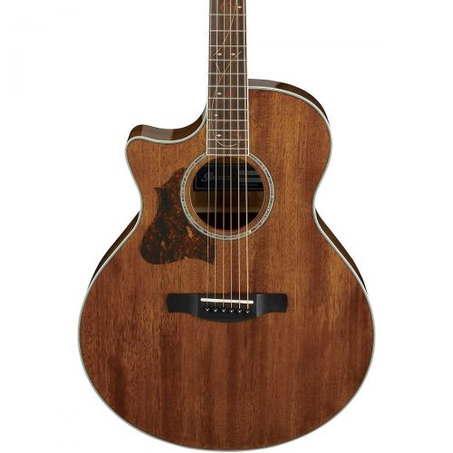  Ibanez},description:These days, there are many different genres of acoustic guitar music and styles of playing. Acoustic players need instruments that can cover the broad spectrum.