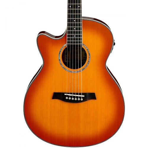  Ibanez},description:Ibanezs left-handed AEG18LII comes in a slender, single-cutaway body that delivers powerful and balanced acoustic sound, unplugged or through an amp or PA syste