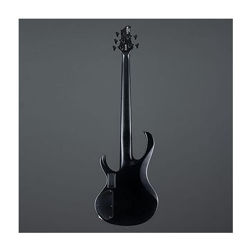  Ibanez BTB625EX Iron Label 5-String Bass Black Flat