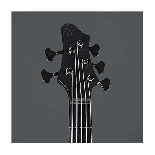 Ibanez BTB625EX Iron Label 5-String Bass Black Flat