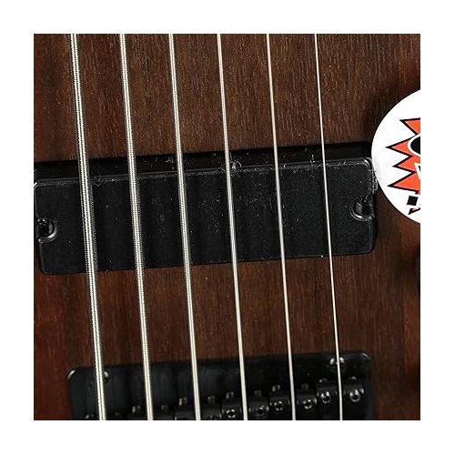  Ibanez GSR, 6-String Bass Guitar, Right, Walnut Flat (GSR206BWNF)