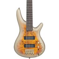 Ibanez SR Standard 5-String Electric Bass Guitar with PowerSpan Dual Coil Pickups and Accu-Cast B500 Series Bridge (Mars Gold Metallic Burst)