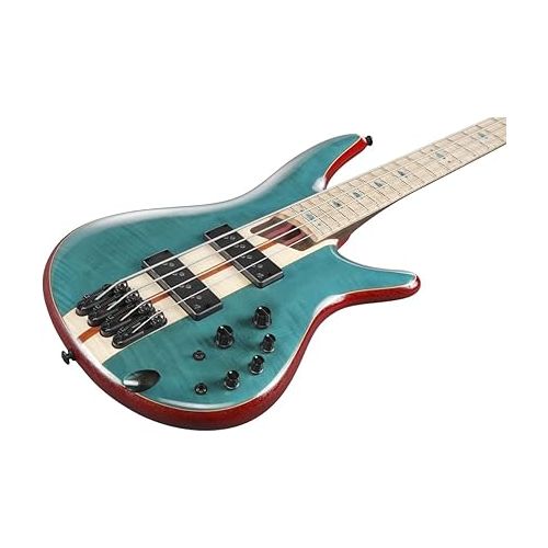  Ibanez Electric Bass Solid SR Premium 4-String Electric Bass with Flamed Maple Fretboard, Includes Gig Bag (Caribbean Green Low Gloss)