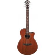 Ibanez AEG220 6-String Acoustic-Electric Guitar (Right-Hand, Natural Low Gloss)