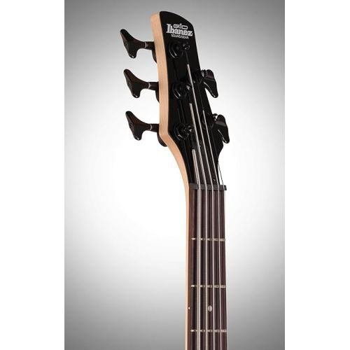  Ibanez 5 String Bass Guitar, Right, Brown (GSR205SMCNB)