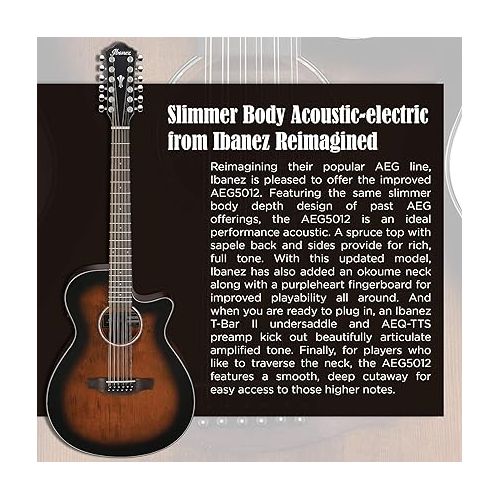  Ibanez AEG 12-String Acoustic-Electric Guitar (Dark Violin Sunburst)