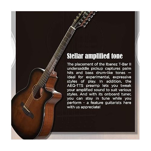  Ibanez AEG 12-String Acoustic-Electric Guitar (Dark Violin Sunburst)