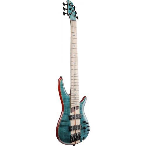  Ibanez Electric Bass Solid SR Premium 6-String Electric Bass with Flamed Maple Fretboard, Includes Gig Bag (Caribbean Green Low Gloss)