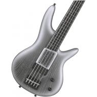 Ibanez Gary Willis 25th-anniversary Signature 5-string Fretless Electric Bass - Silver Wave Burst Flat