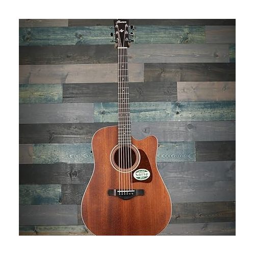  Ibanez AW54CEOPN Artwood Dreadnought Acoustic/Electric Guitar - Open Pore Natural