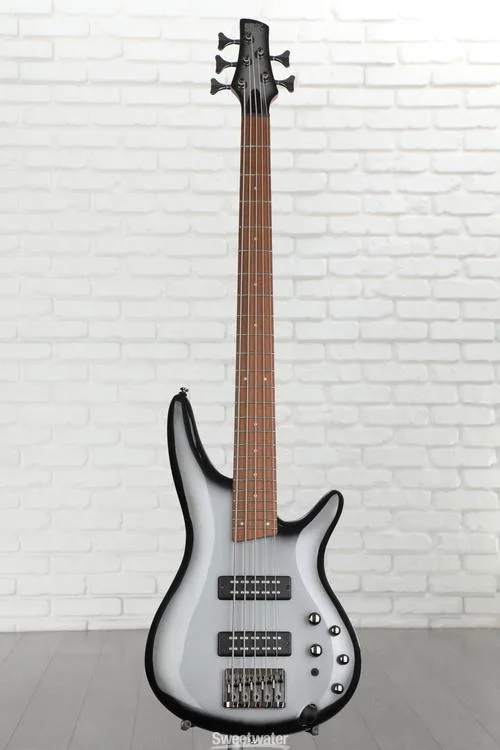  Ibanez Standard SR305E 5-string Bass Guitar - Metallic Silver Sunburst Demo