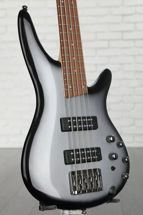  Ibanez Standard SR305E 5-string Bass Guitar - Metallic Silver Sunburst Demo